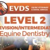 Level 2 Equine Dentistry - Revision / Intermediate