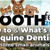 Toothfest 2023 Conference Registrations