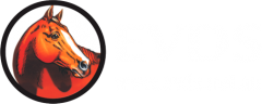 EVDS logo