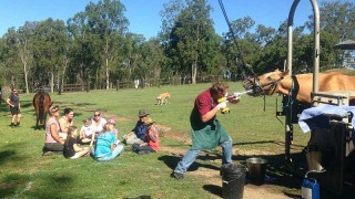 The Veterinary Practice Regulation 2006