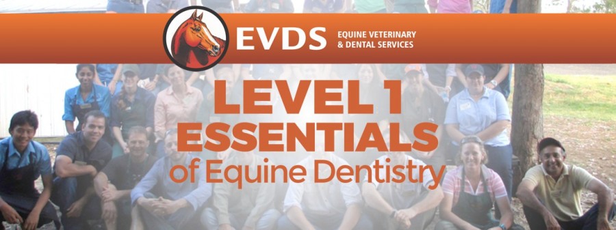 Level 1 Essentials of Equine Dentistry