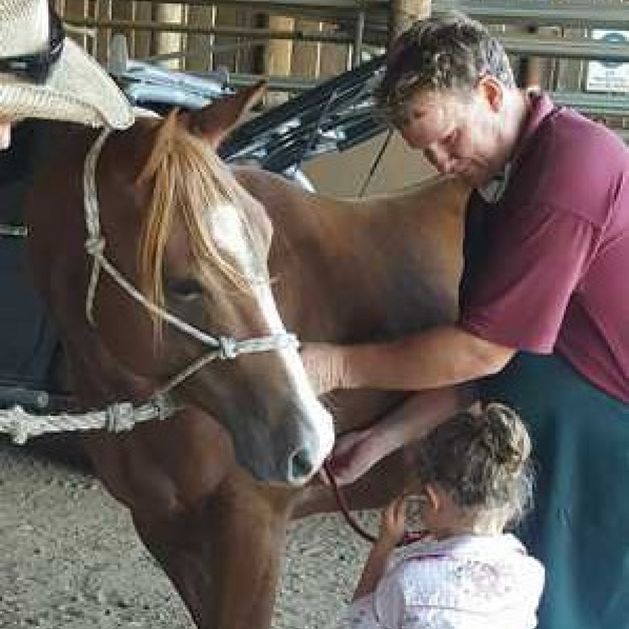 Our ultimate goal is to reliably help our clients to prevent diseases and emergencies in their horses.