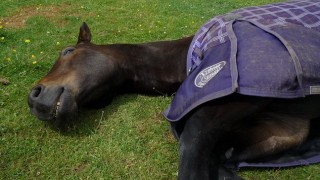 Is Sedation Necessary?