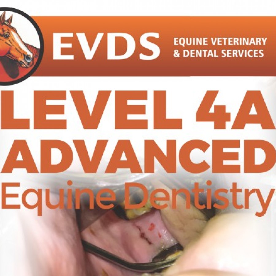 Level 4 Equine Dentistry - Advanced