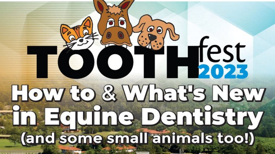 Toothfest 2023 Conference Registrations